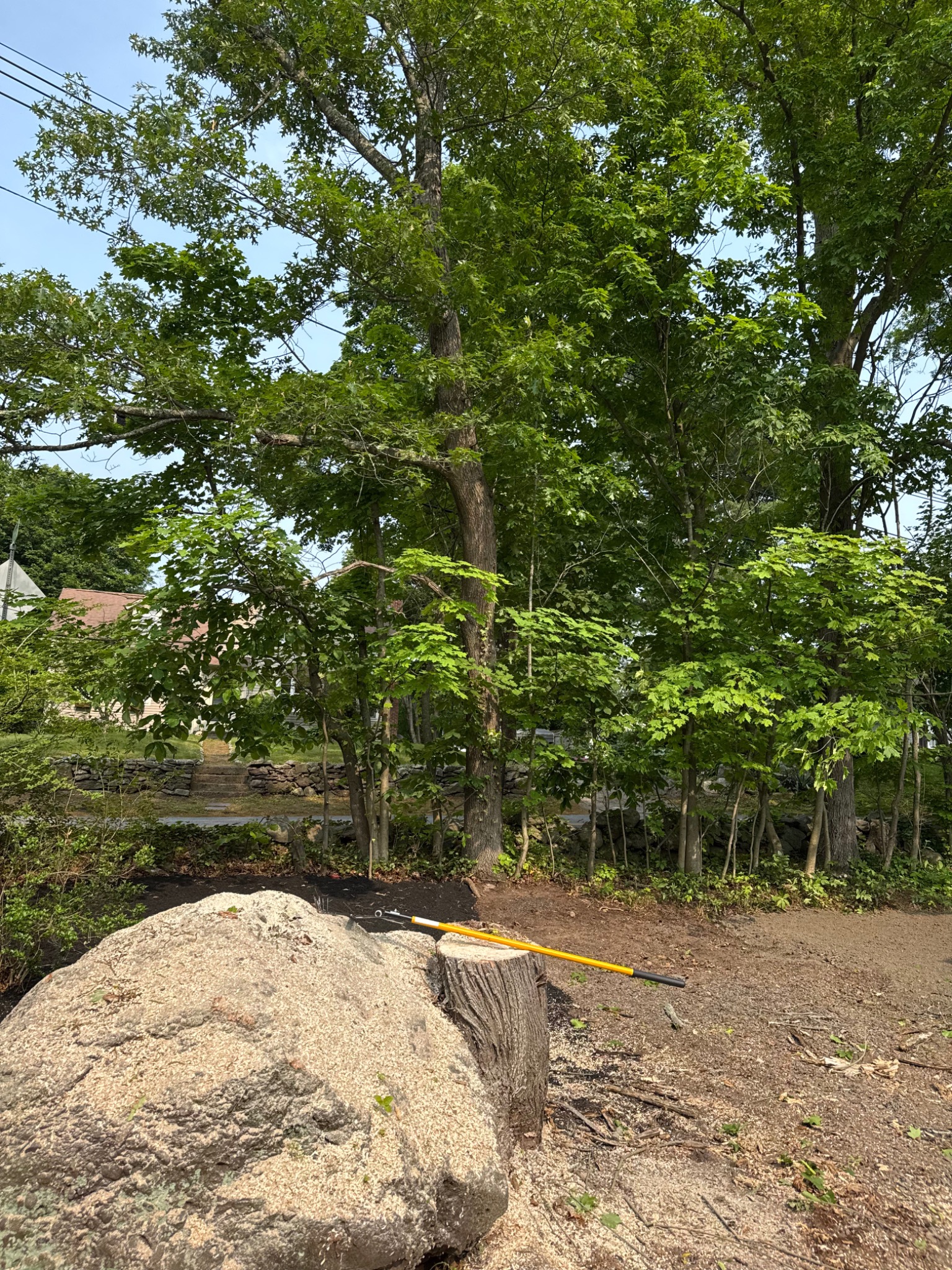 Cleaned work area with stump and sawdust