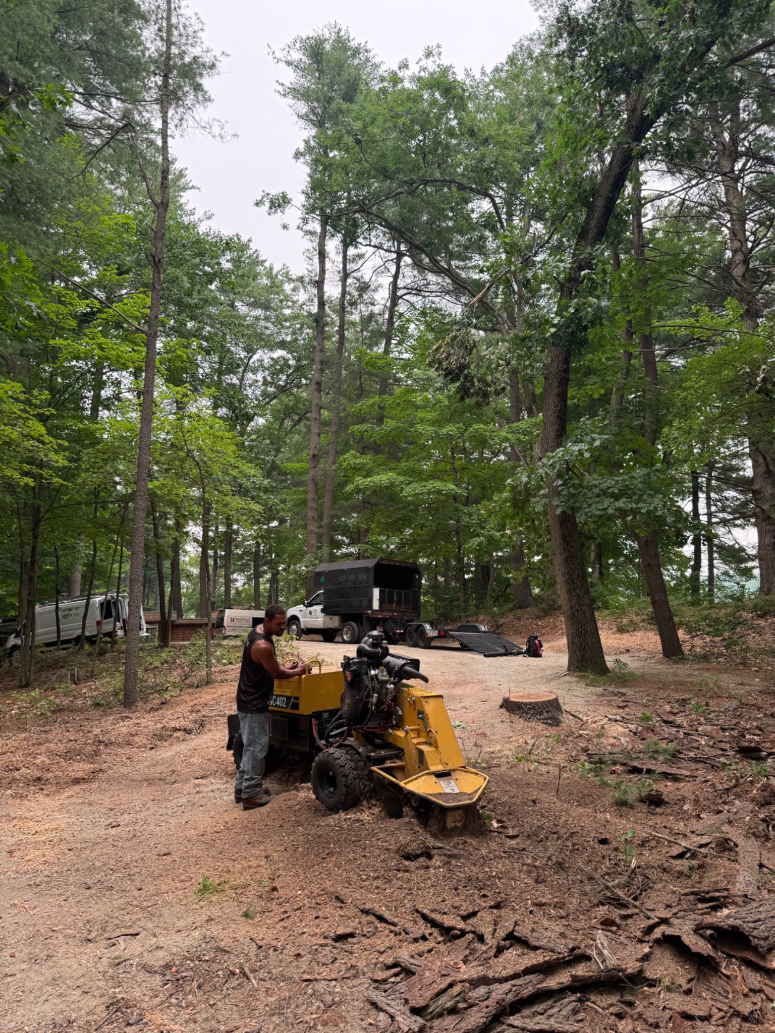 ARLA stump grinding crew serving Marlborough Massachusetts
