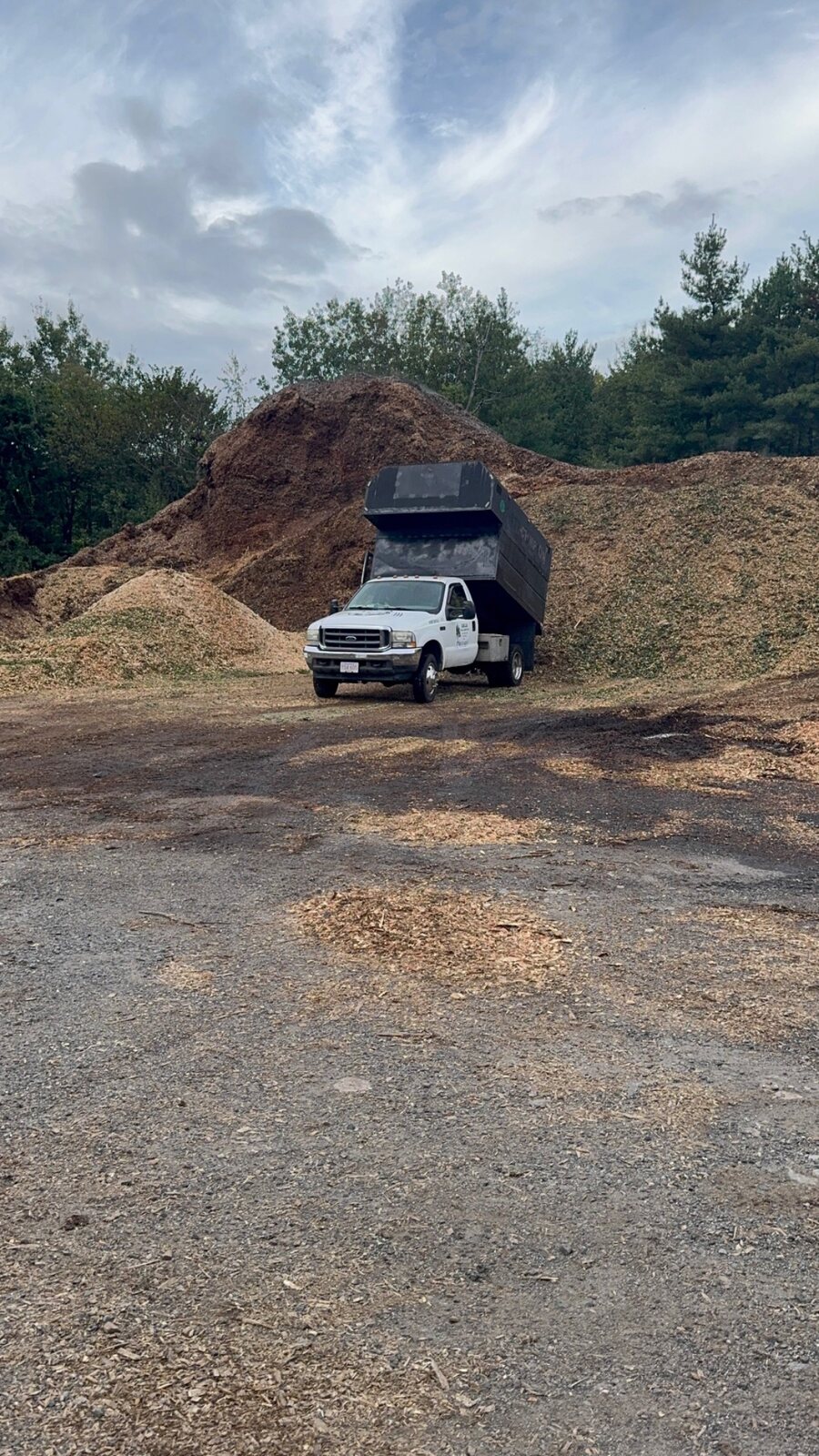 Dump truck by piles of wood chips