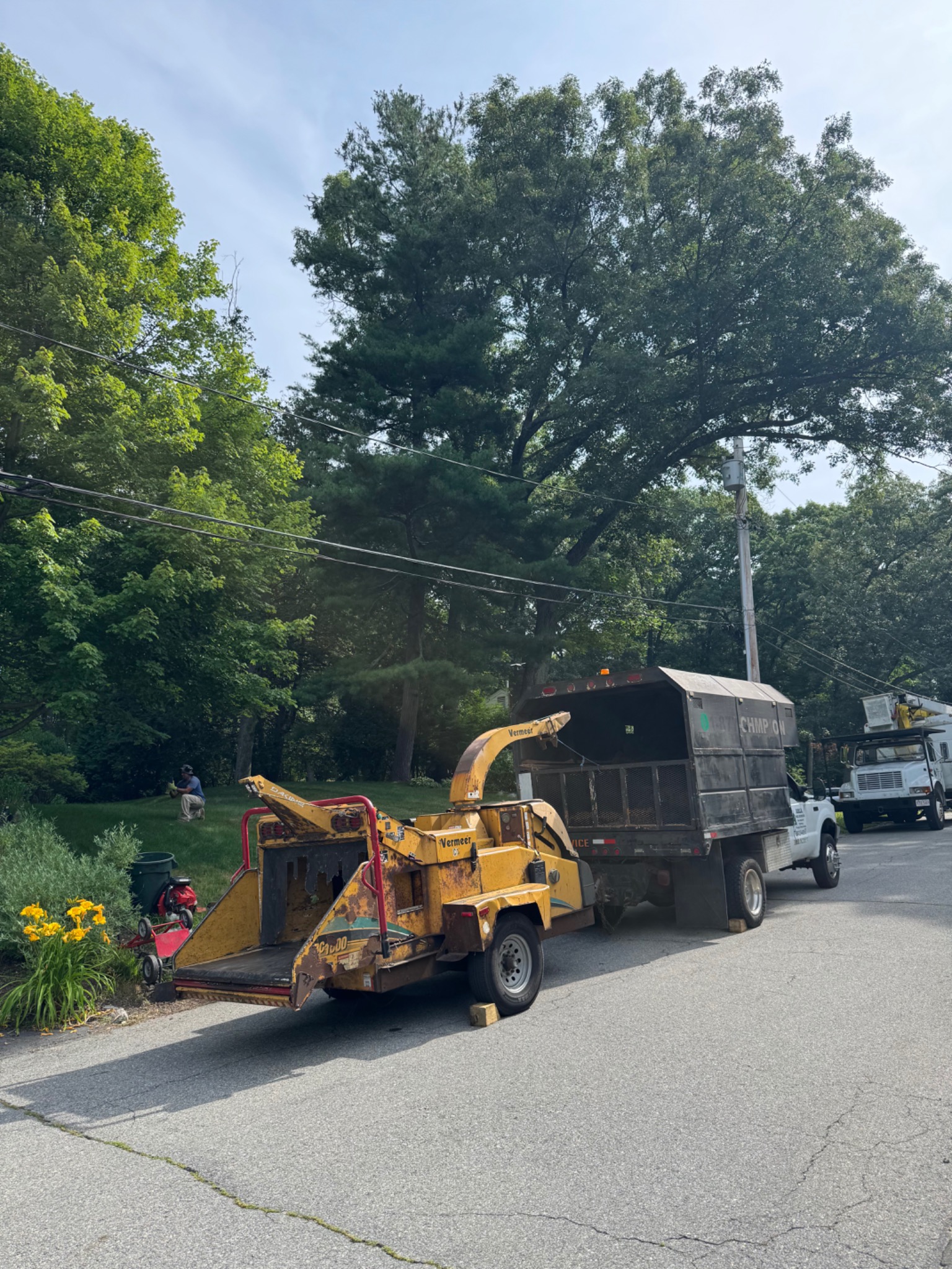 ARLA Tree Services chipper and work trucks serving Ashland Massachusetts