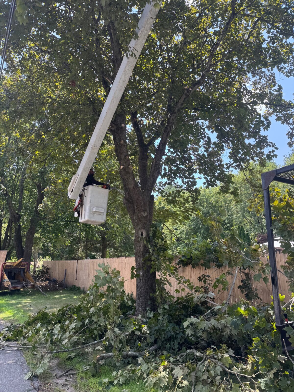 Worker trimming from a bucket truck