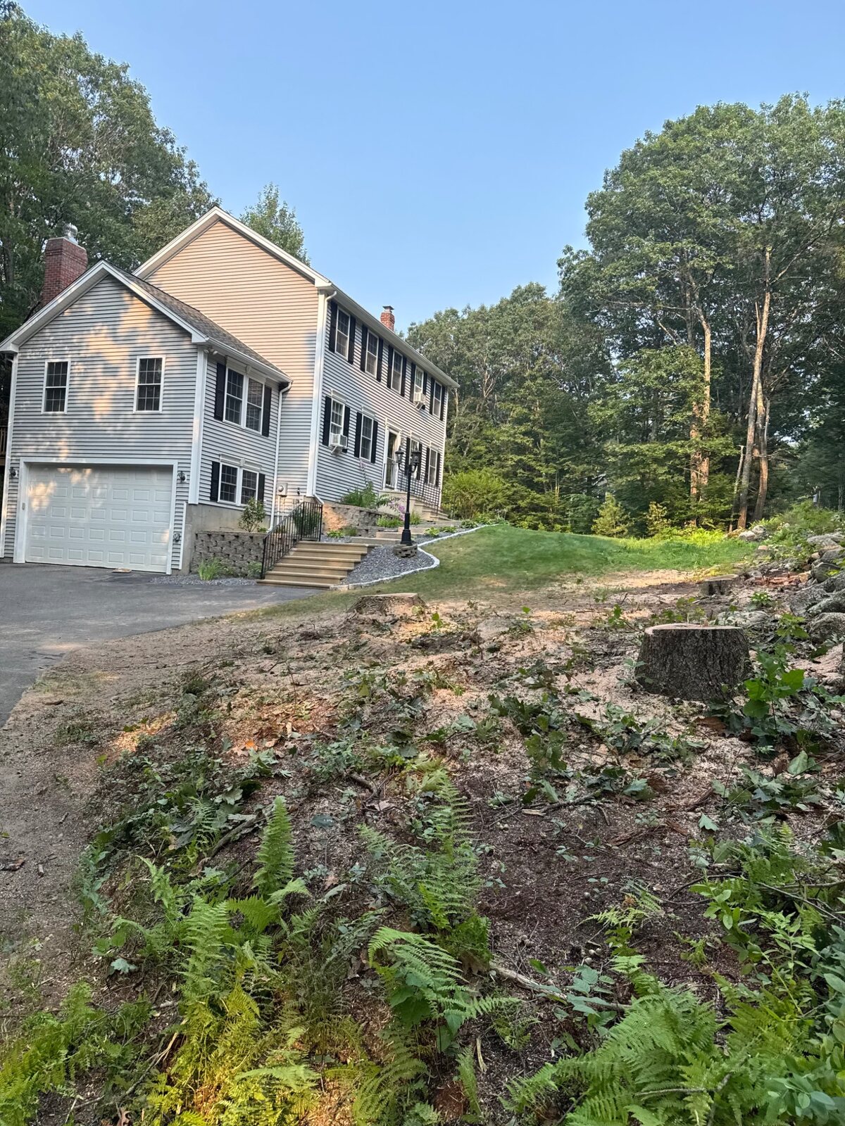 Yard after tree removal work